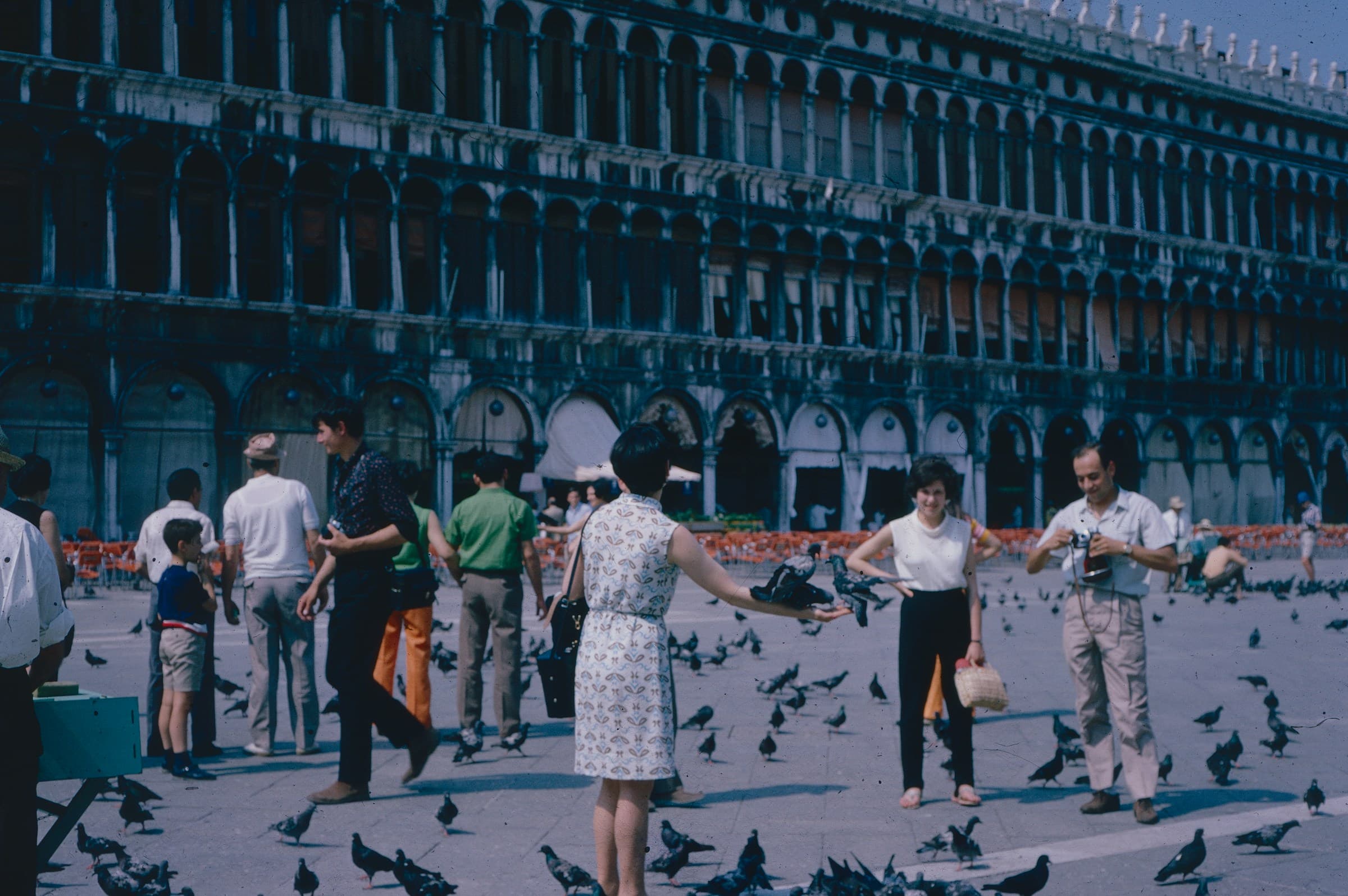 Feeding the pigeons in Piazza San Marco